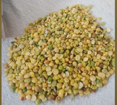 pulses, freeze dried vegetables & vegetable powder 