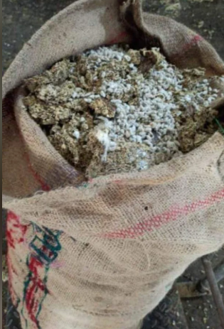 Cotton seed oil cake,Mesh Cattle Feed,Cotton Seeds,Cattle feed chips etc.
