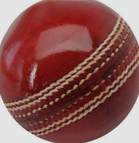 Cricket Leather Ball