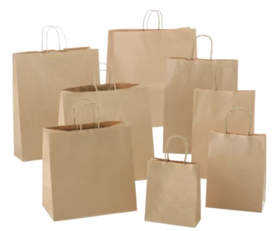 Paper Bag/Lifafa/Grocery Bag
