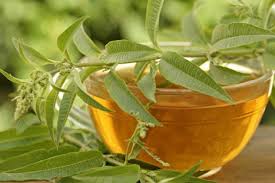 Senna Extract (Calcium Sennoside)