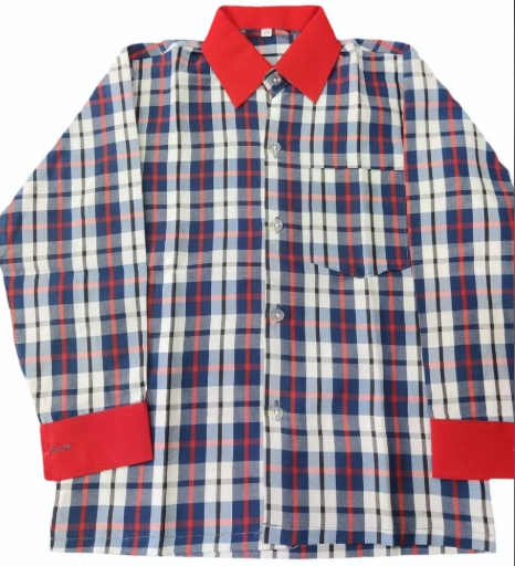 Check School Full Sleeves Shirt