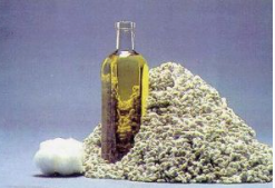  Cotton Seeds Oil, Organic Cotton Bales, Raw Cotton Bales, Cotton Seeds, Cottonseed Oil, Cottonseed Oil Cake