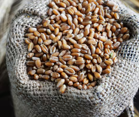  moong dal and other pulses products