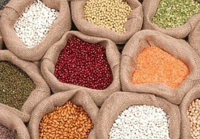 Fine sorted desi Toor Pulses, Cattle Feed.