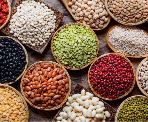 pulses, including Toor Dal (Arhar Dal), Chana Dal, Urad Dal, Masoor Dal, Moong Dal, Black Gram, Yellow Pulses, and related agro products like fresh wheat and black chickpeas