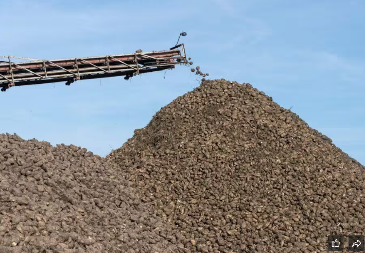 stone crusher