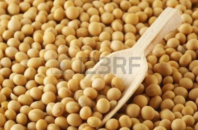  soyabean, kabuli chana & wheat 