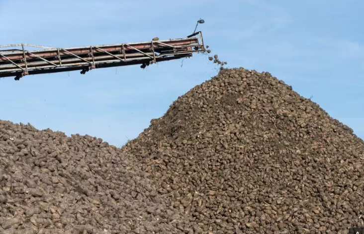  crushed stone production