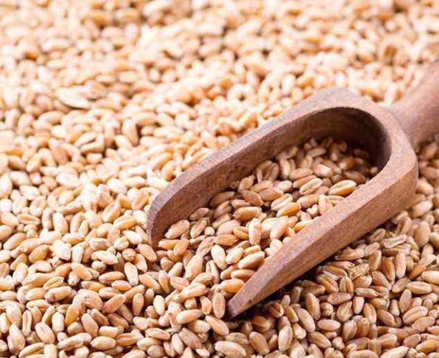 dal (pulse) processing