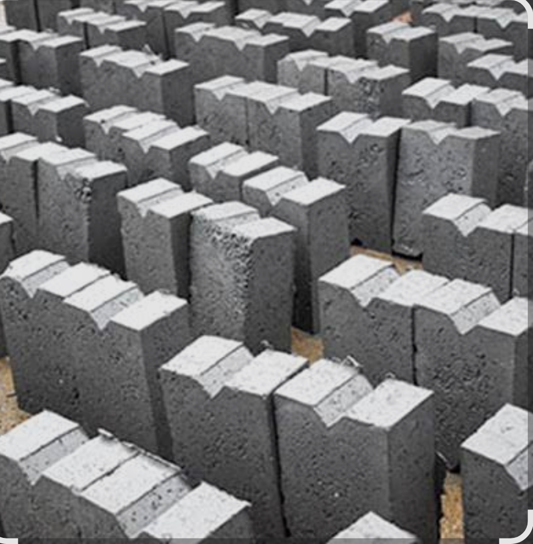 Fly ash Bricks