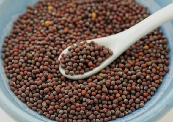 Mustard Seeds