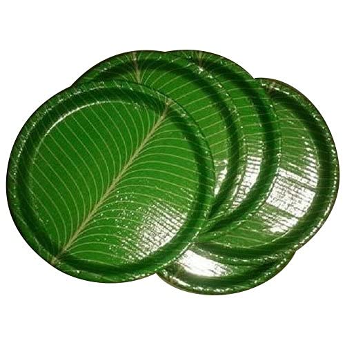 Paper Plate
