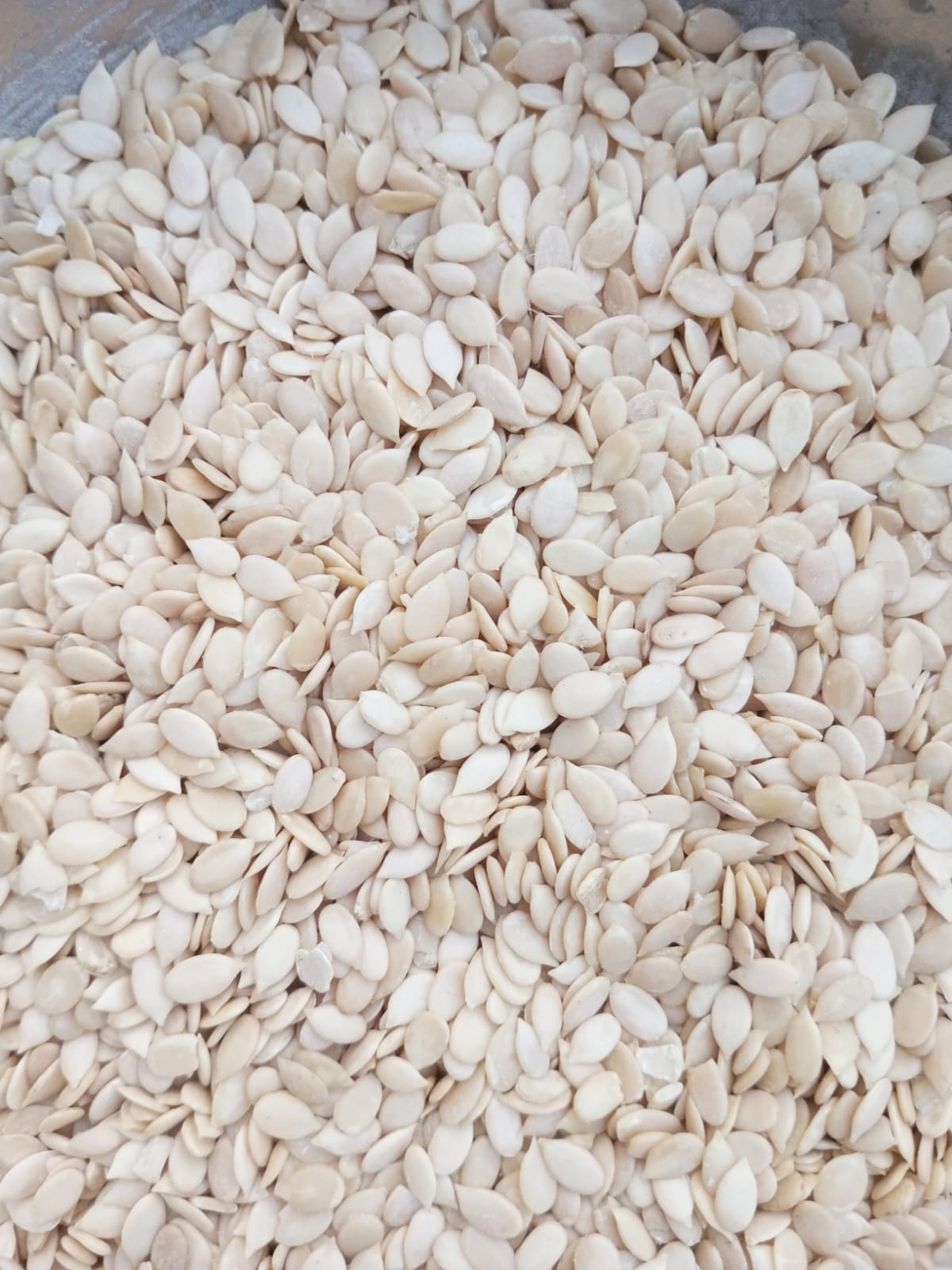 seeds