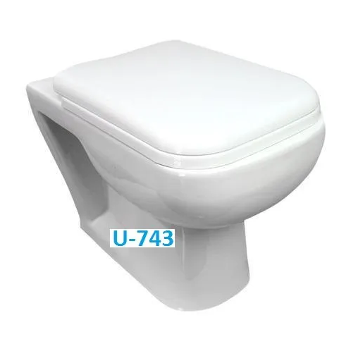 Wall Mounted Toilet Seat