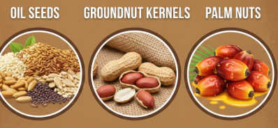  oil seeds, groundnut kernels, palm nuts