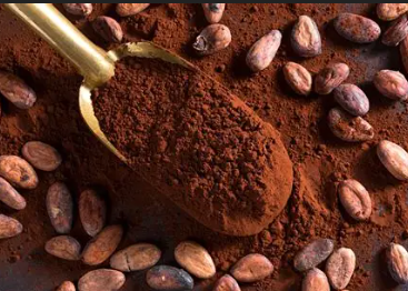 cocoa powder