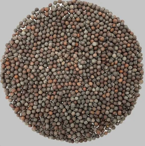 Organic Mustard Seeds