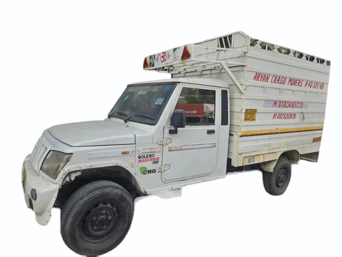 Domestic Packers And Movers Service 