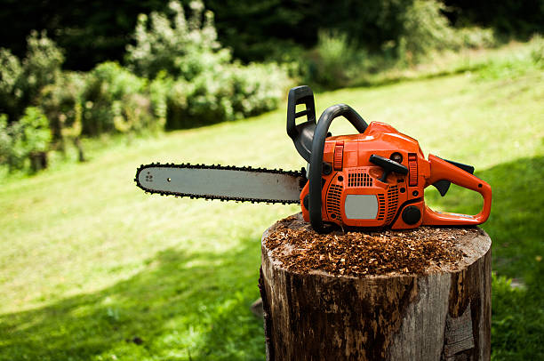 Chain Saw