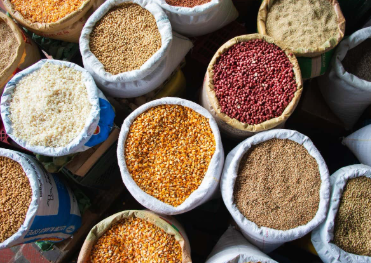 Food Grain, Pulses, Rice and Wheat 