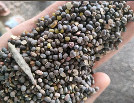  urad dal & other products 
