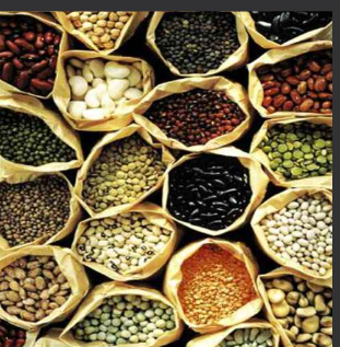  Pulses, Arhar Ki Daal, etc.