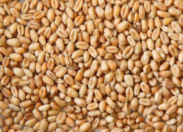 agricultural products 