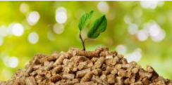 Biomass Briquettes, Biomass Briquettes