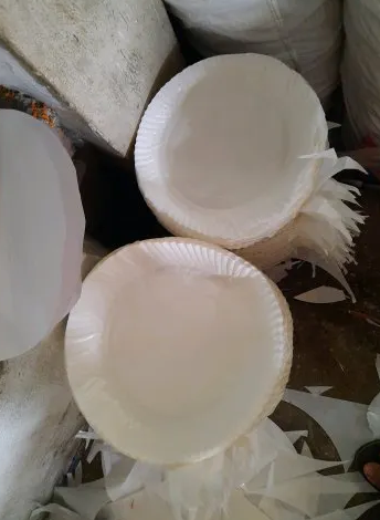 paper plate & other products