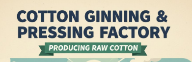  cotton ginning and pressing factory, producing raw cotton 