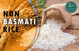 Non basmati Rice
