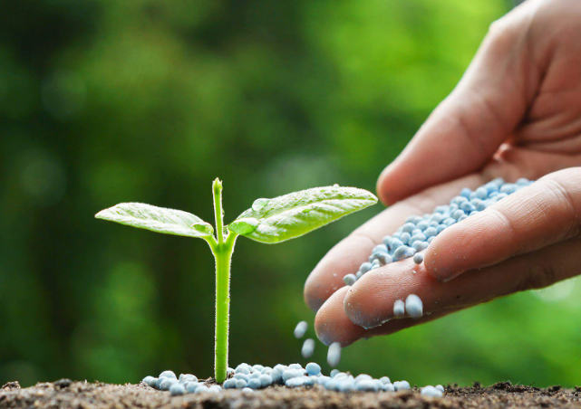 agrochemicals like bio fertilizers, insecticides