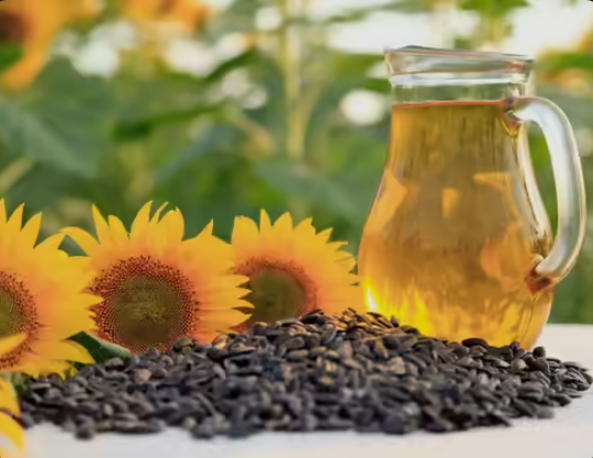 Oil Seeds