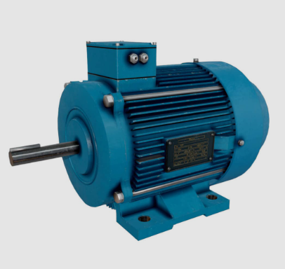 Squirrel Cage Motors