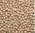  soyabean, kabuli chana & wheat 