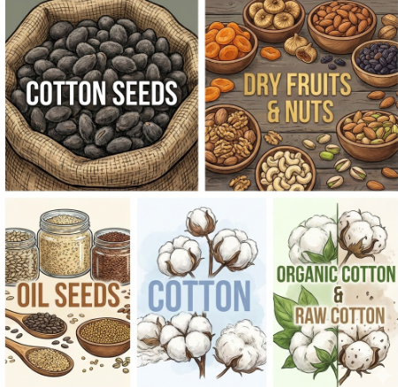 cotton seeds, dry fruits & nuts, oil seeds, cotton, organic cotton & raw cotton