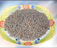Bengal Grams, Split Red Lentils, Whole Red Lentils, Split Pigeon Peas (Patka) and Split Pigeon Peas