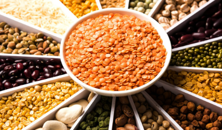 pulses which include Tur, Moong, Lentil & Chana