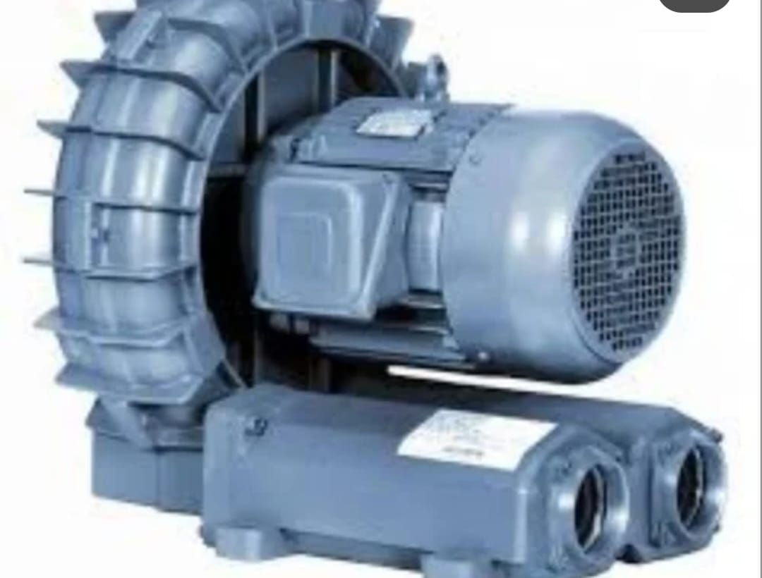 Combustion Air Blower