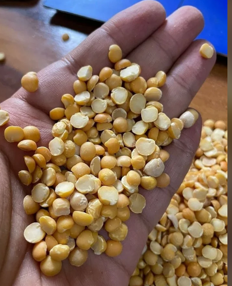 pulses, gram flour, flours & other products