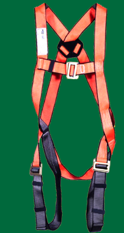 Safety Harness