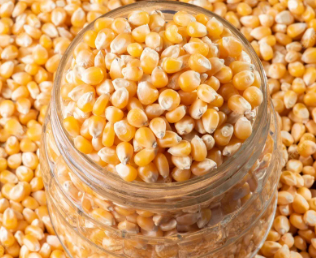 wheat, maize seeds & raw maize