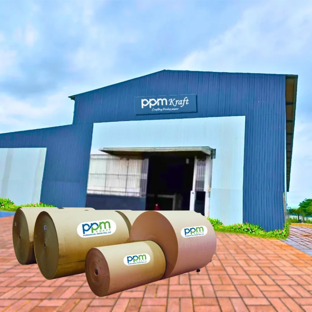 Kraft Paper Rolls