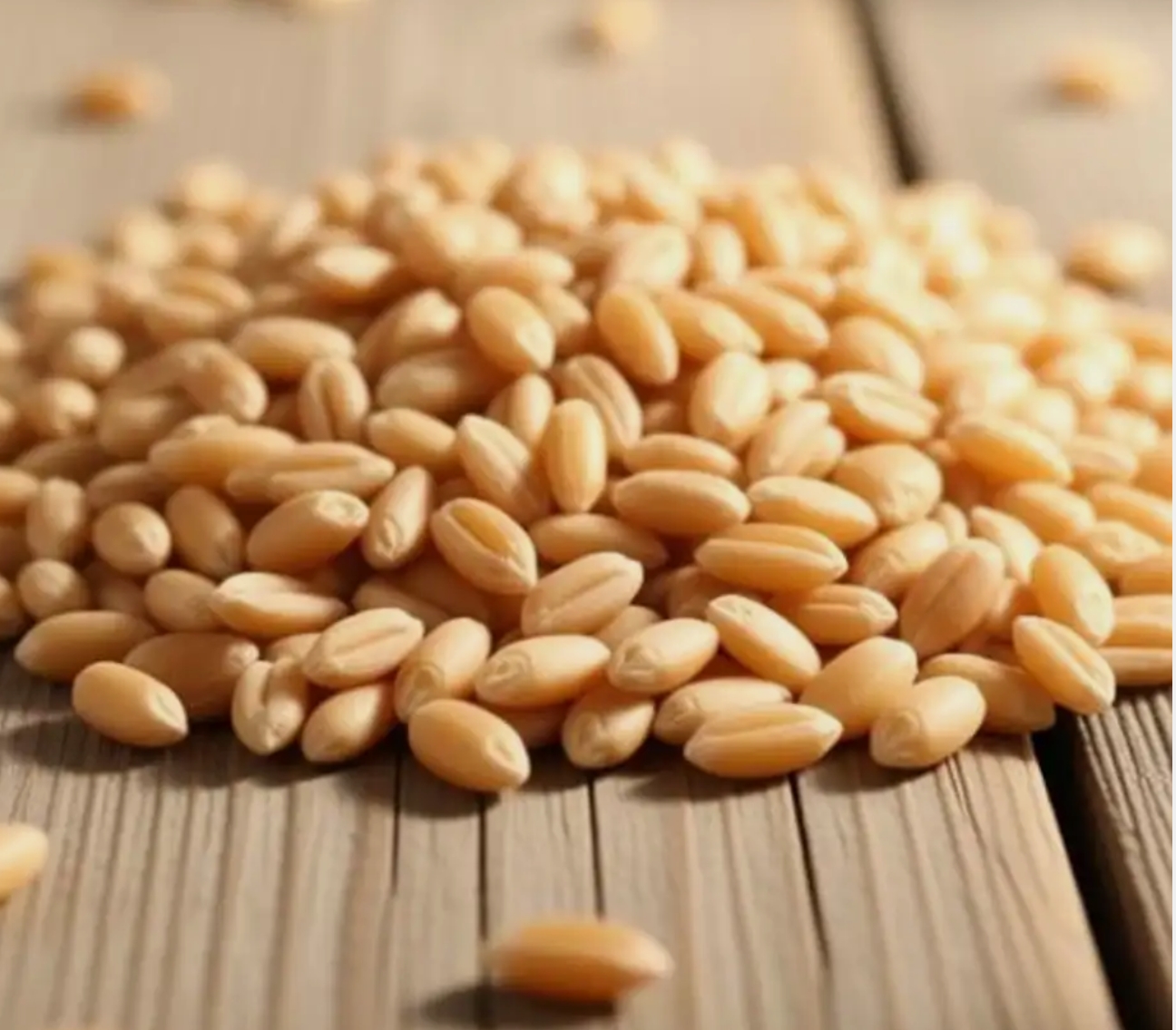 Wheat
