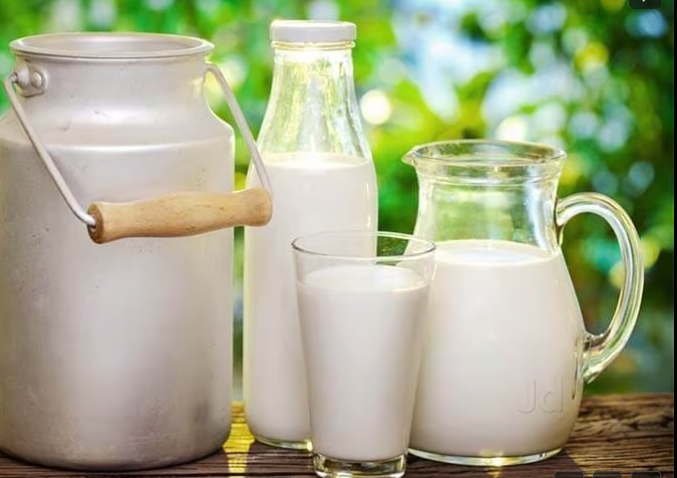milk (cow, buffalo), paneer, ghee, butter, cheese, yogurt, and related products 