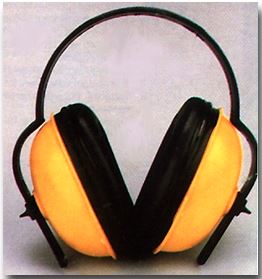 Earguard