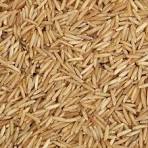Basmati Brown Rice
