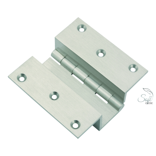 Brass W Hinges