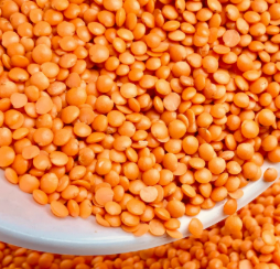yellow moong dal, organic chana dal & red masoor dal 